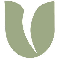 BULBi Logo
