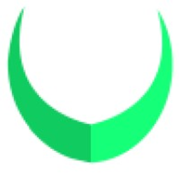 Bullride Logo