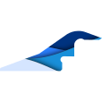 Baraniak Used Press Consulting GmbH Logo