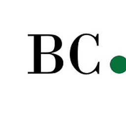 Burkner Consulting Logo