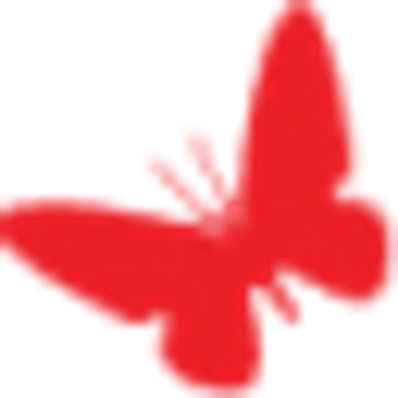 Butterflyeu Logo