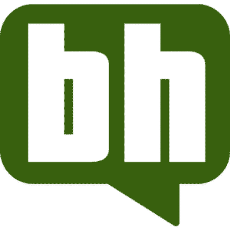 Der beliebteste Headshop: buyhigh.de Logo