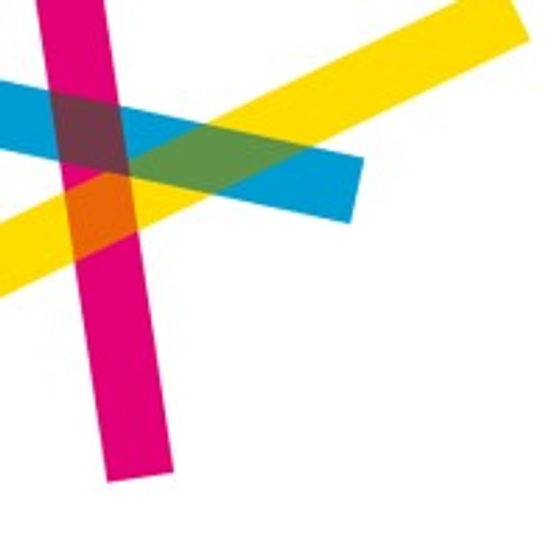 Bv Pg Logo