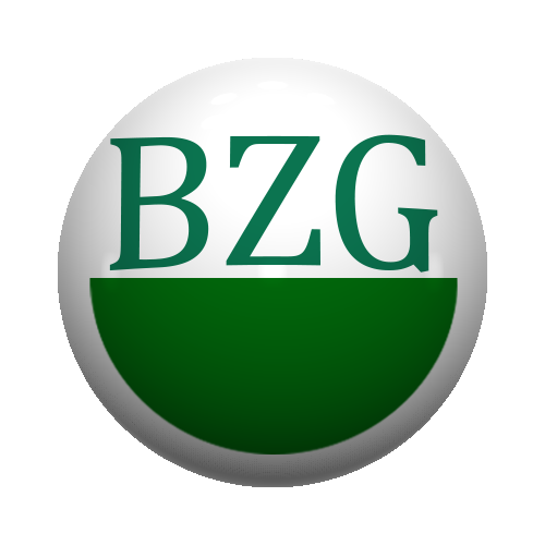 BZG Ostharz gGmbH Logo