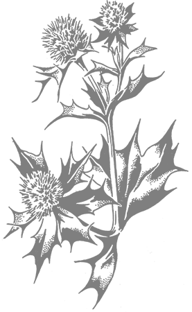 Café Bäckerei Schult Logo