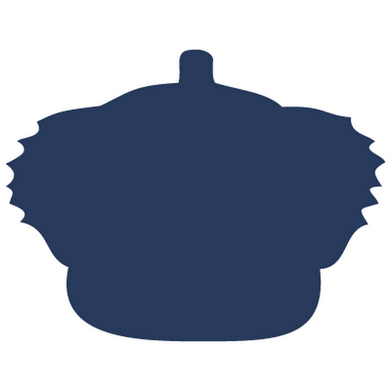 Cambridge Institute Spain Logo