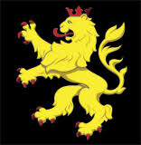 Camostore Logo