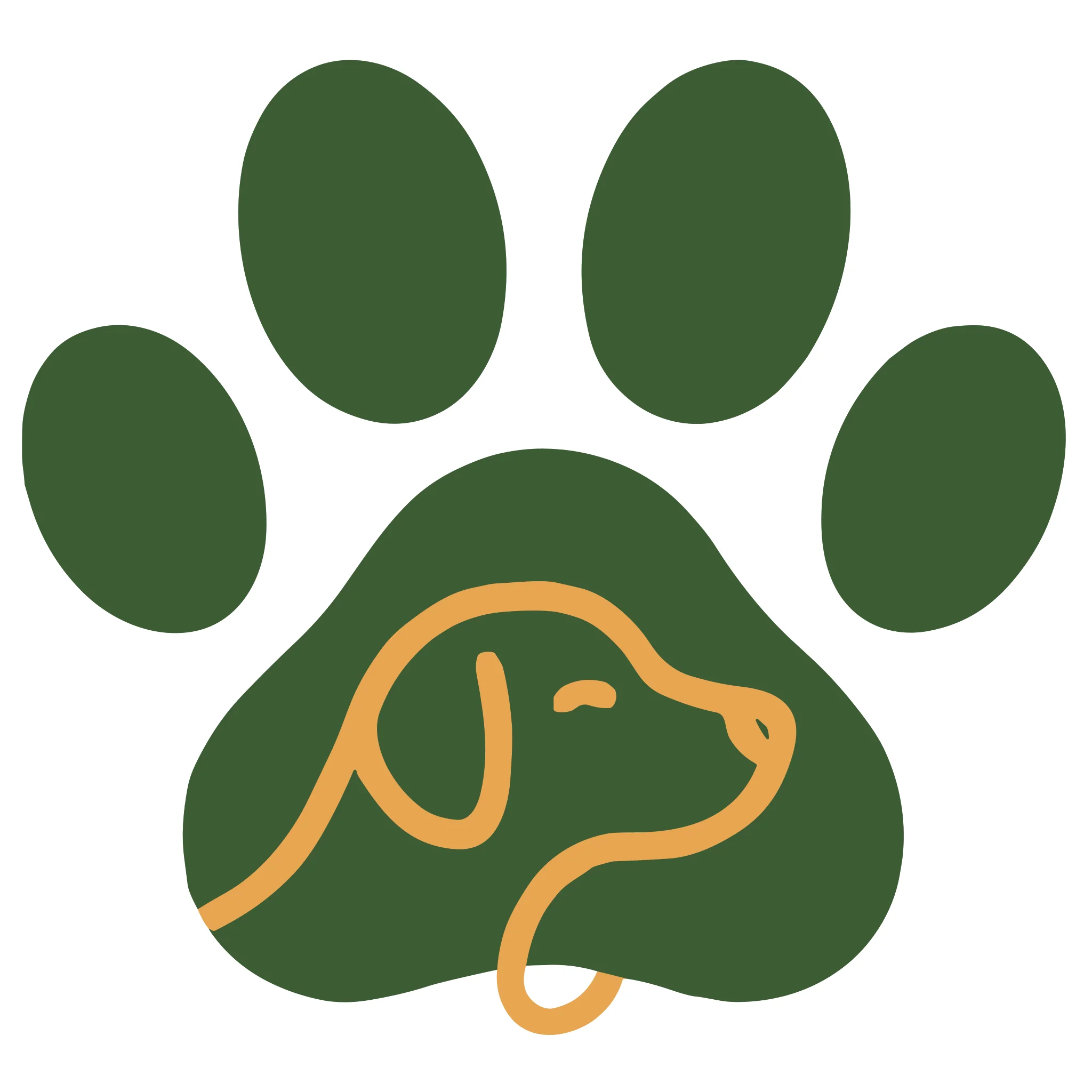Canivoa Logo