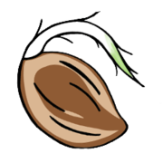 Cannoptikum Logo