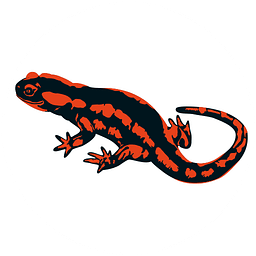Canyoning Team Allgäu Logo