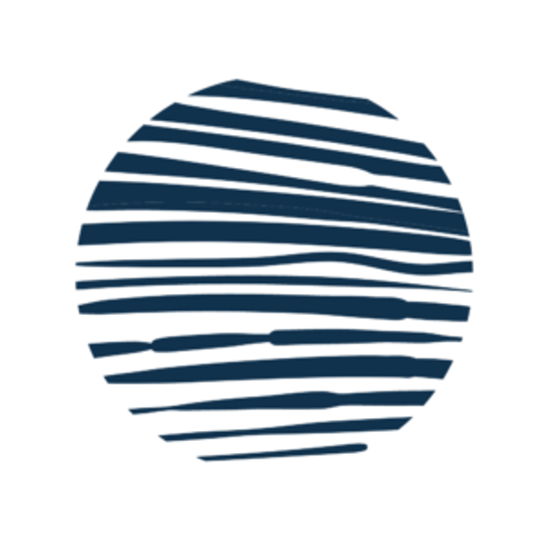 Capacity Aviation Logo