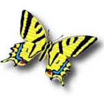 Care Service GmbH Pflegedienst Logo