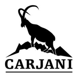 carjani.ch Logo