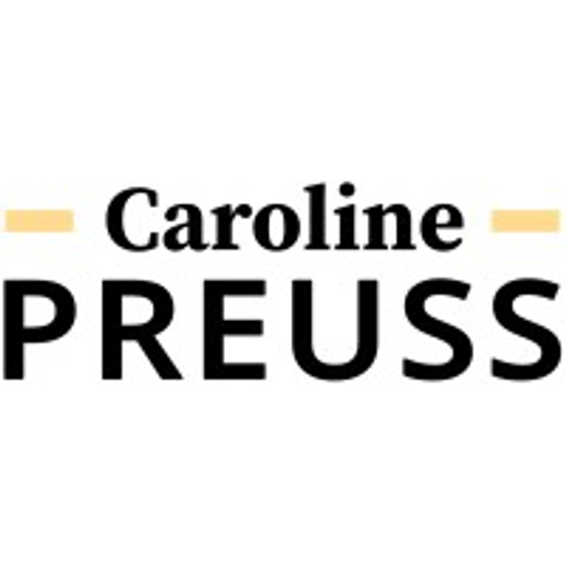 Preuss Consulting GmbH Logo