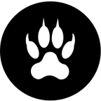 Catchtiger Logo