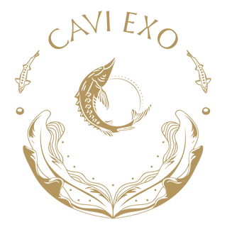 CAVI EXO Logo