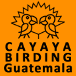 Cayaya Birding Logo