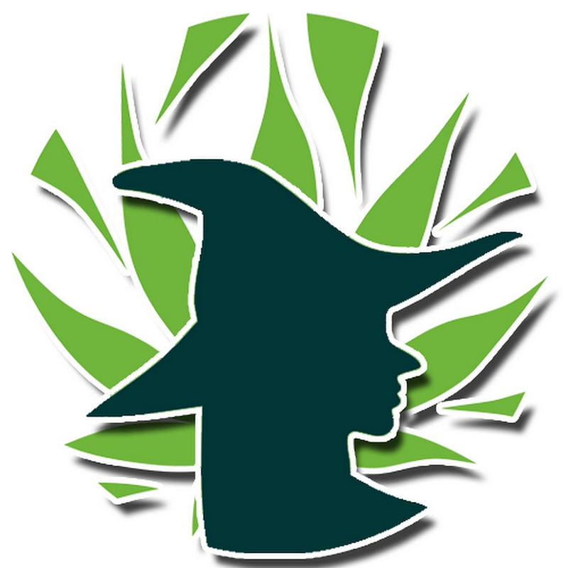 Cbd Hexe Onlinehandel Logo
