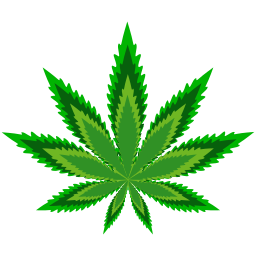 cbdladen24.de Logo