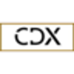 CDX Datentechnik Logo