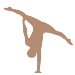 Chirohouse Logo