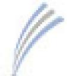Chirurgie Barsinghausen Logo