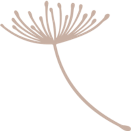 Christine Burkuhl Logo