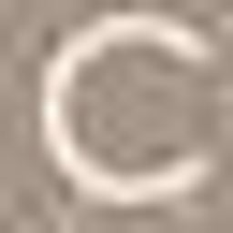 City Pass Logo