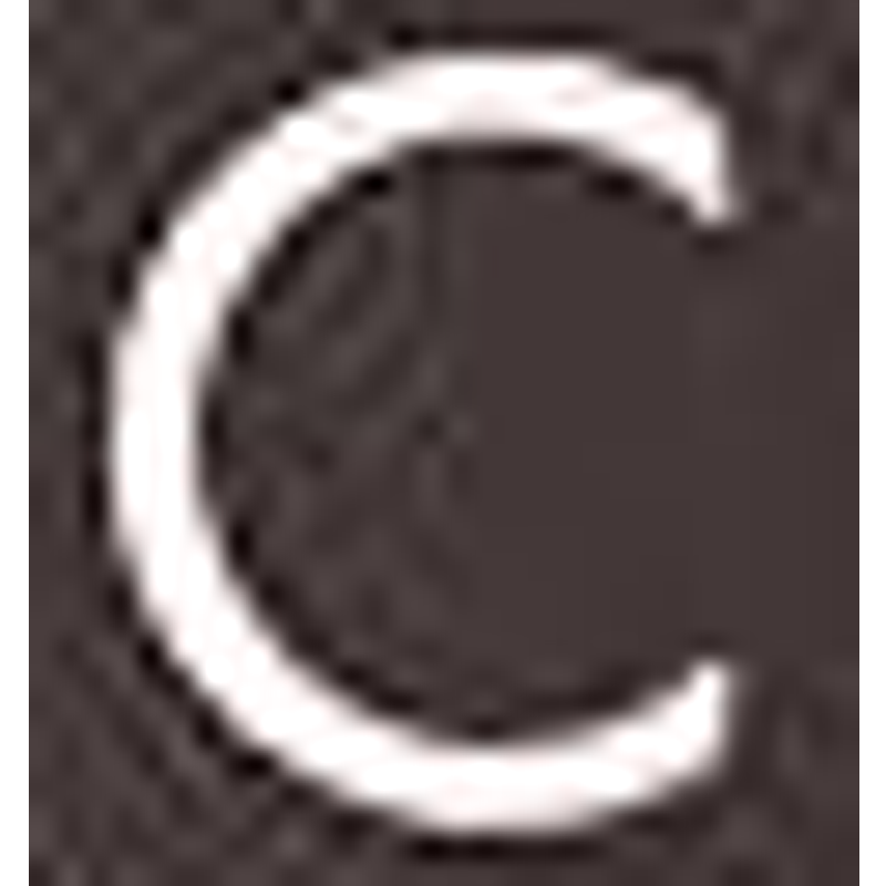 Citykauf Logo