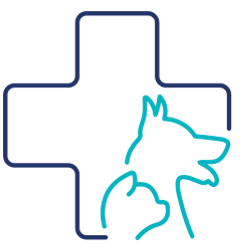 Ciudaddelosangeles Logo