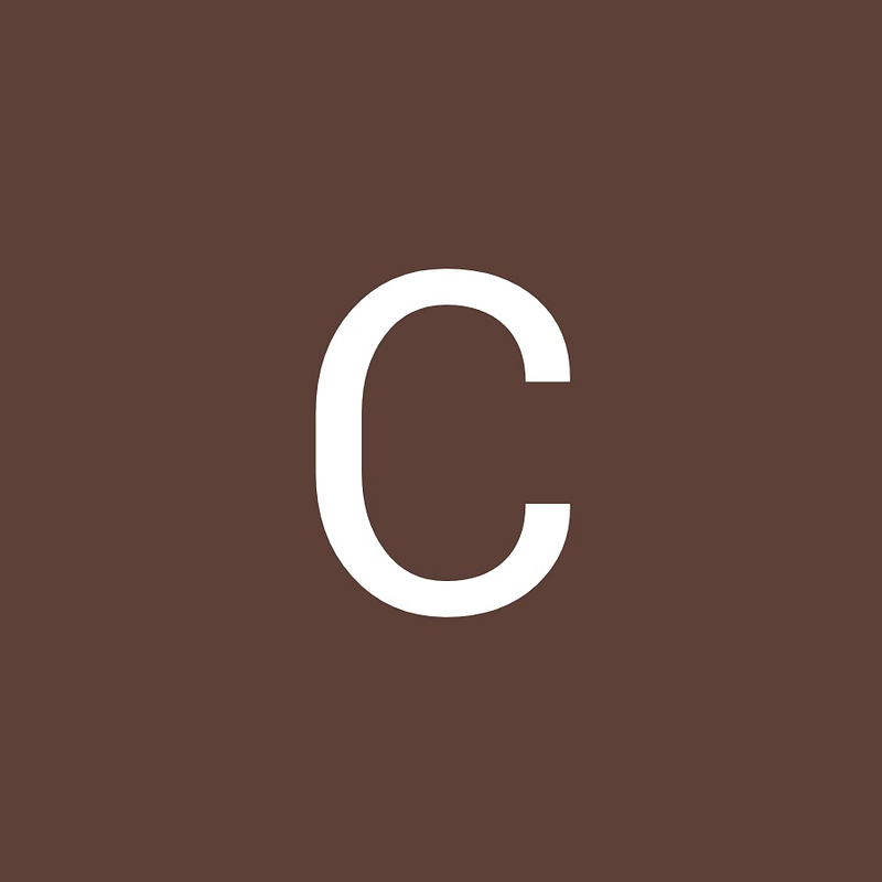 cleanprofis.ch Logo