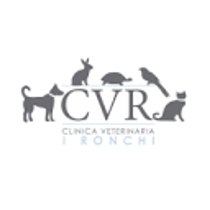 Clinicaveterinariaironchi Logo