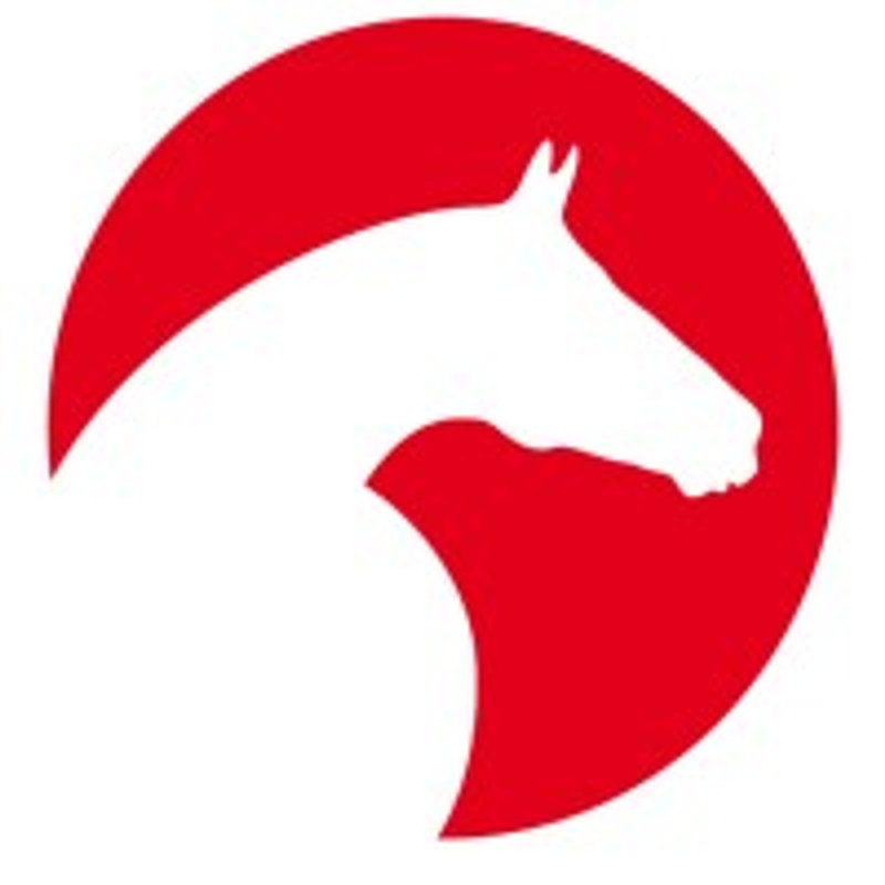 ClipMyHorse.TV Logo