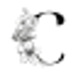 Coachics Logo