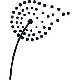 codelion GmbH Logo