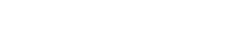 connectwerk - Daniel Sailer Logo