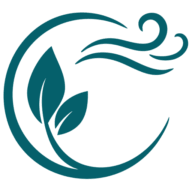 Constanze Braun Logo
