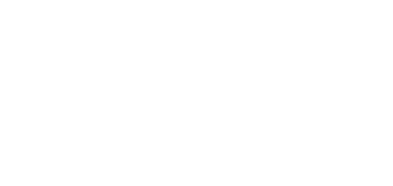 Piehl Consulting UG Logo