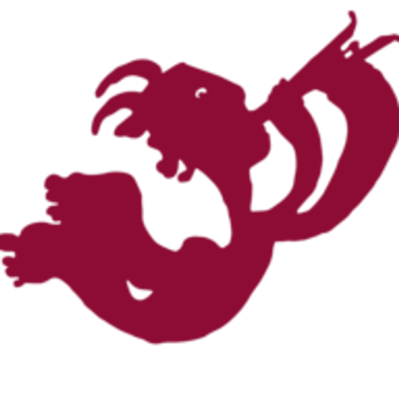 Cooltours Logo