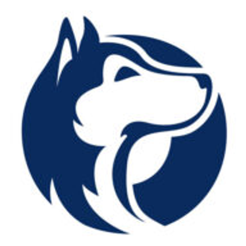 Couchwolf Logo