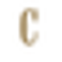 CountryHolz Logo