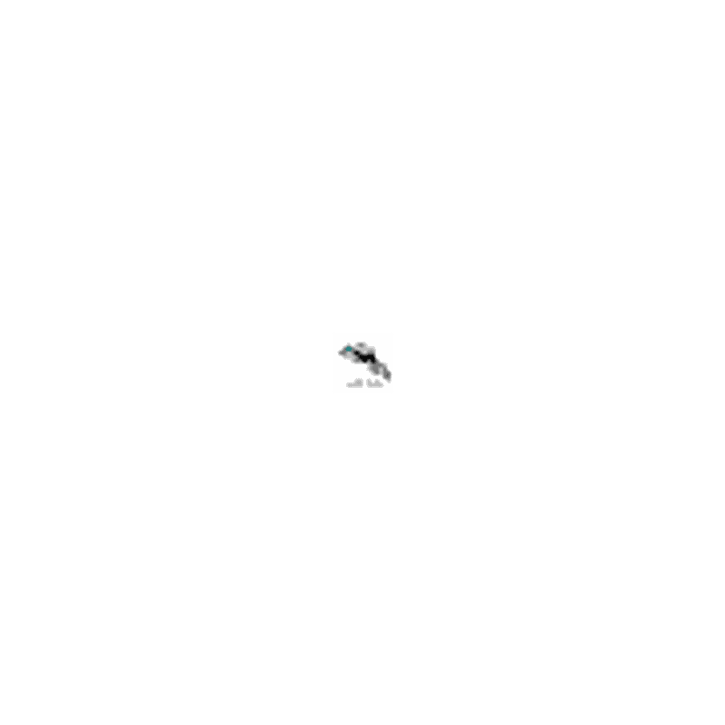 Crossbow Adventure Logo
