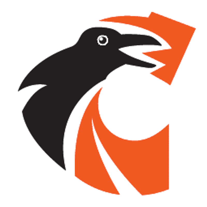 Crow Security Logo