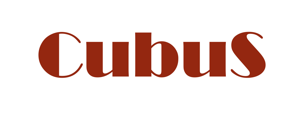 Cubus Unternehmensberatung Logo