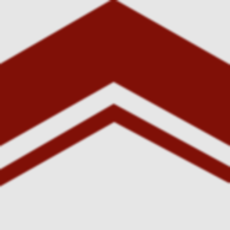 Dachbleche Online Logo