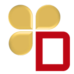 Dahua Internationale Handels GmbH Logo