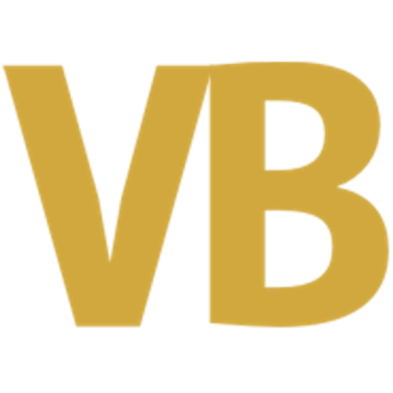 Dakwerken van beijnen Logo