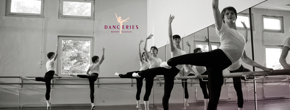 Danceries Textilhandel u. Vertrieb GmbH Logo