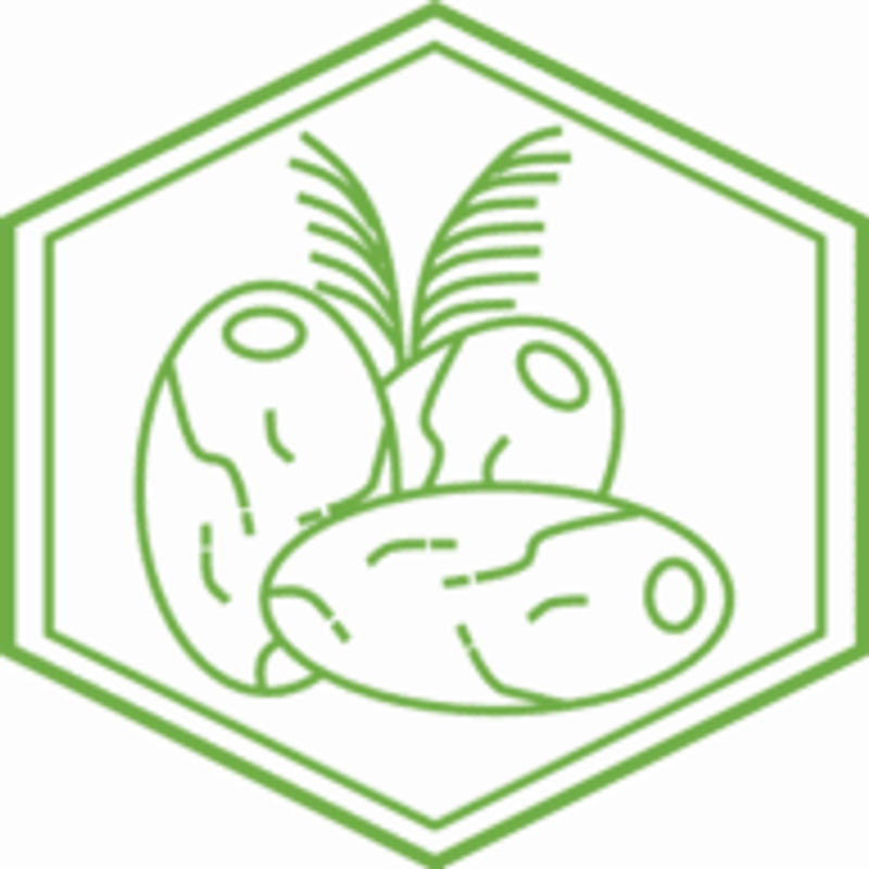 DattelDelight Logo
