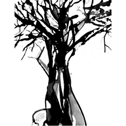 De Arboris Logo